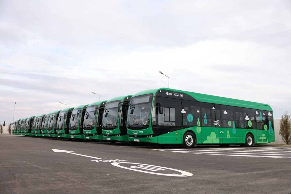 New Regulations Will Further Stimulate the Development of Public Transport