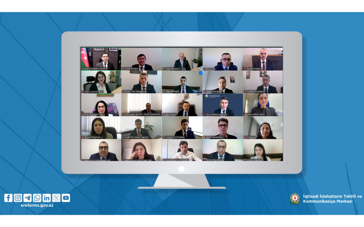 The next Online Meeting of the "Labor Market" Working Group Held