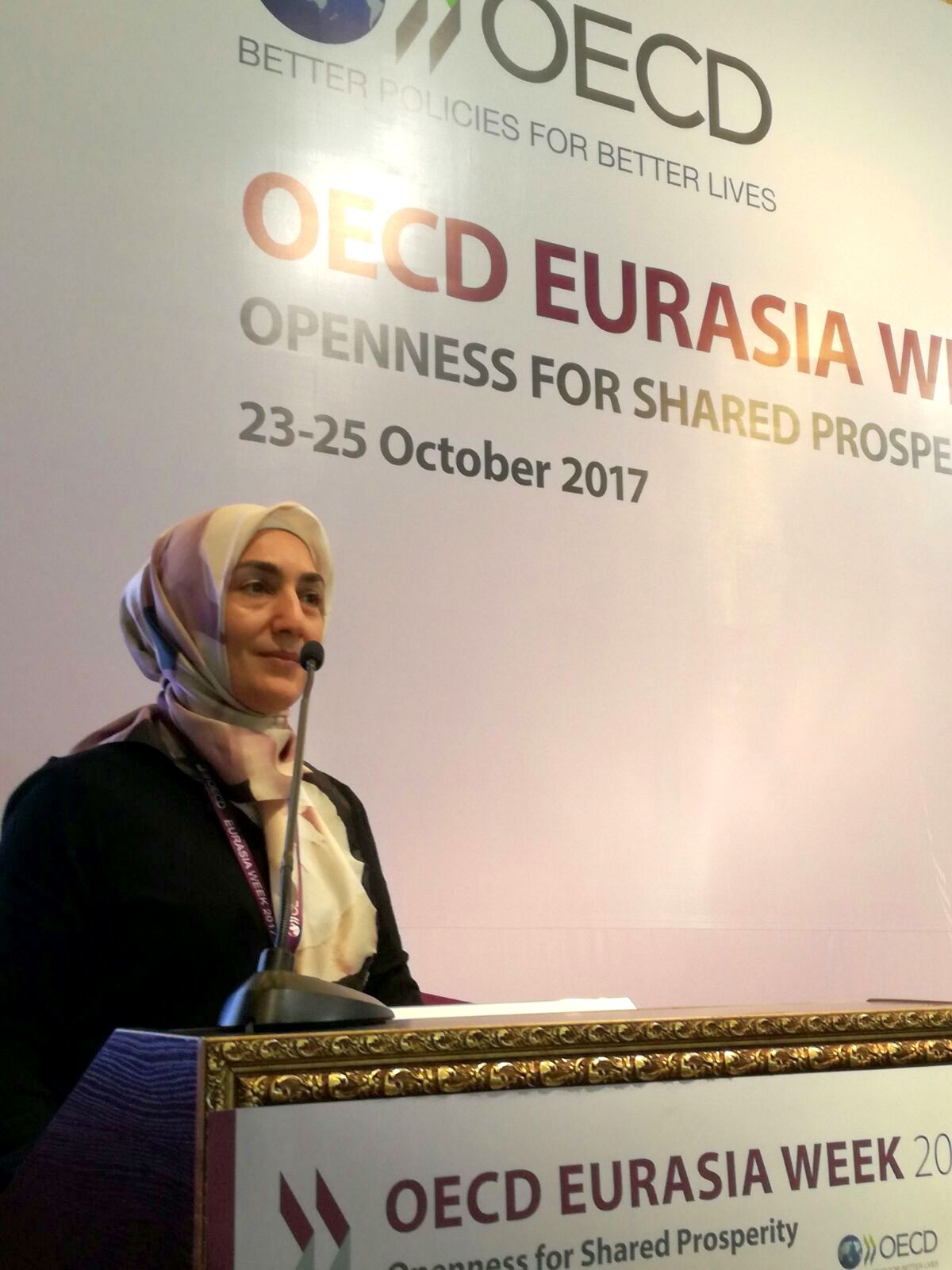 Economic Reforms in Azerbaijan Presented at OECD “Eurasia Week 2017”