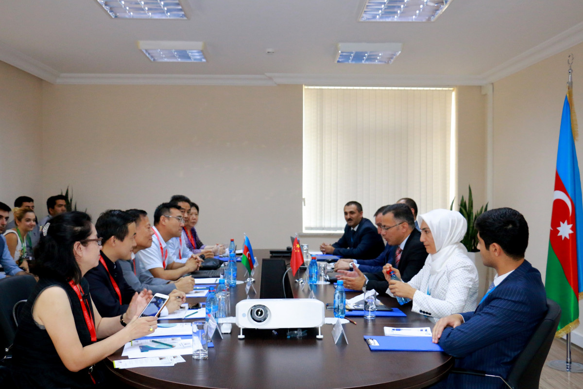 Chinese and Azerbaijani Economic Models Discussed