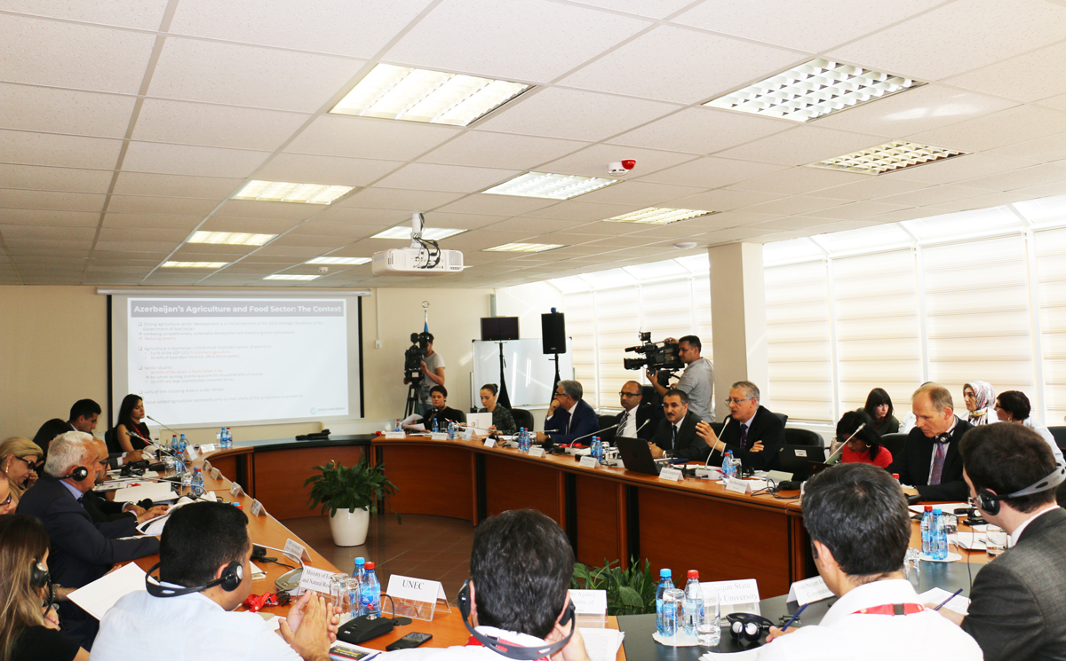 Discussion on “Rural Development and Agriculture”