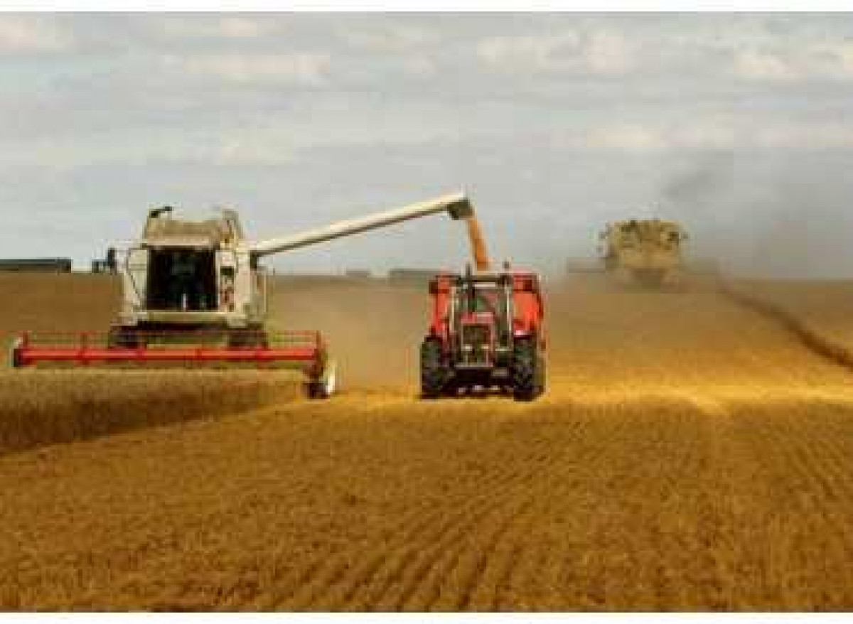 Prezident kənd təsərrüfatının inkişafı ilə bağlı Sərəncam imzalayıb