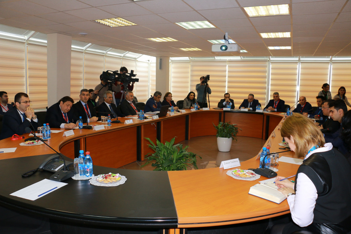 Strategic Roadmaps Discussed in a Scientific Context