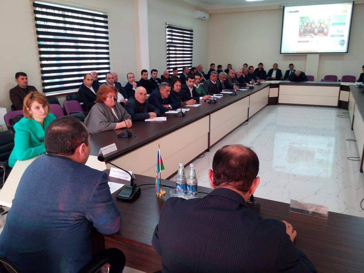 Azexportun Xaçmazda keçirdiyi görüşdə yüzdən artıq sahibkar iştirak edib