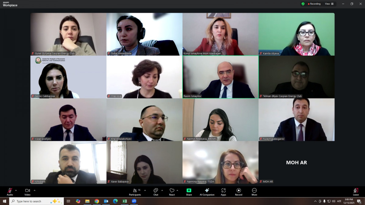 The next meeting of the “Healthcare System” working group was held