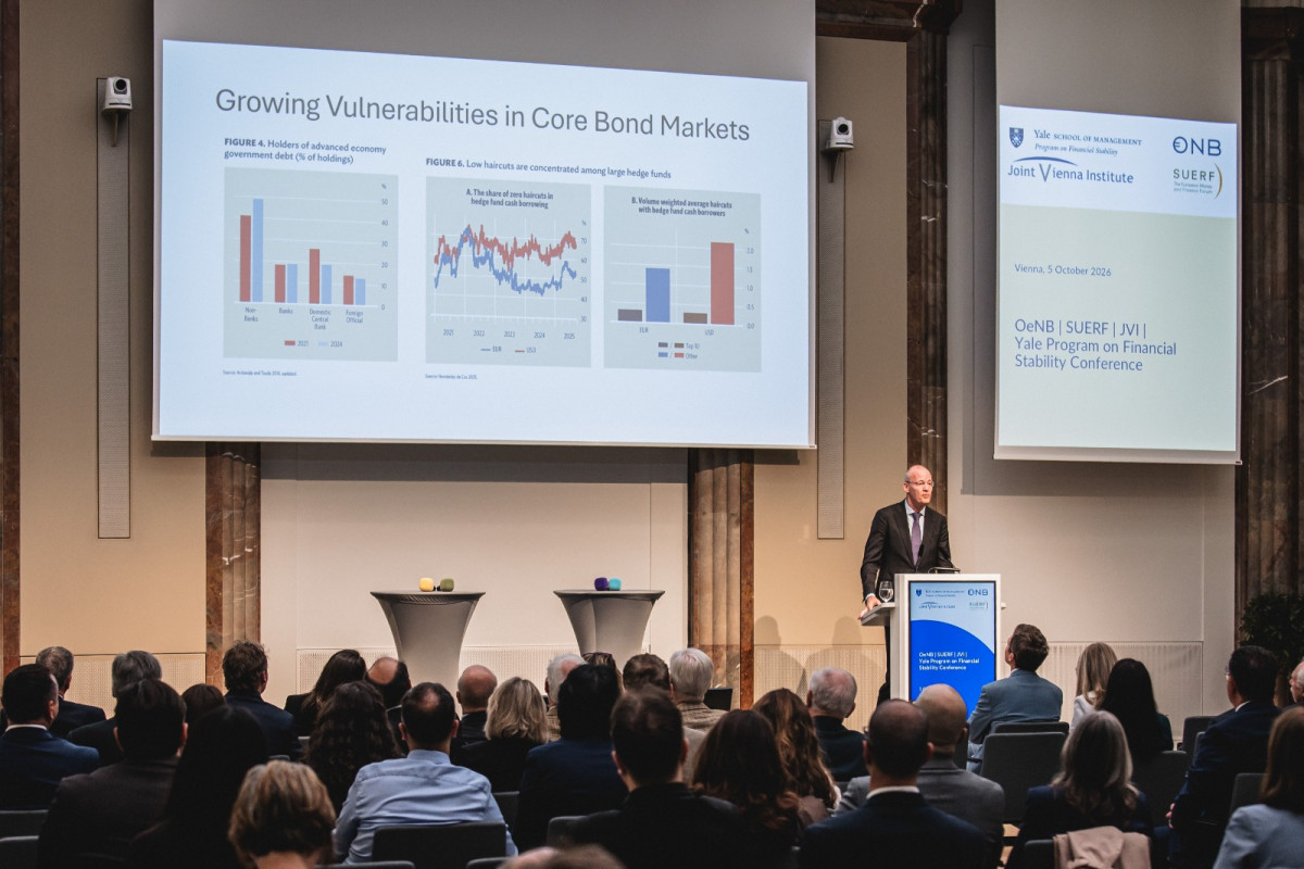 A representative of the CAERC participated in a conference dedicated to the future of financial stability in Vienna
