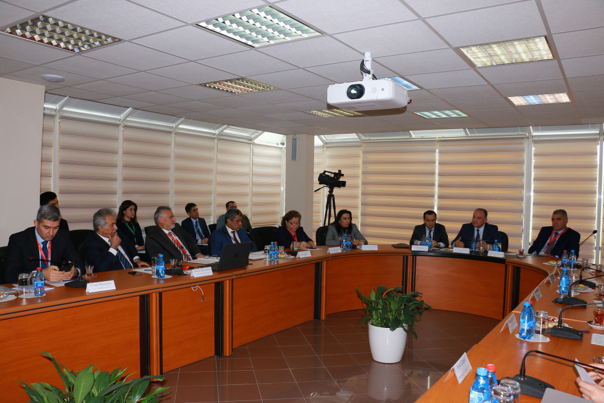 Strategic Roadmaps Discussed in a Scientific Context