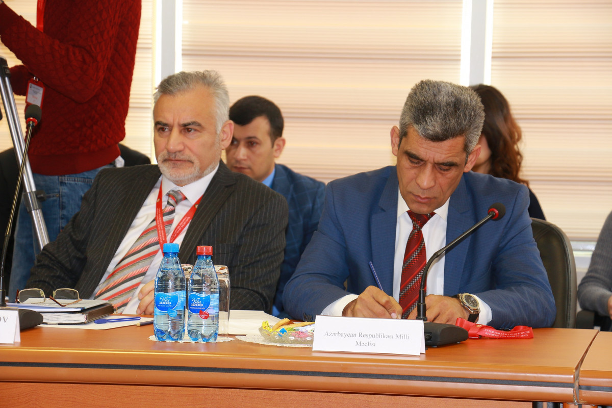 Strategic Roadmaps Discussed in a Scientific Context