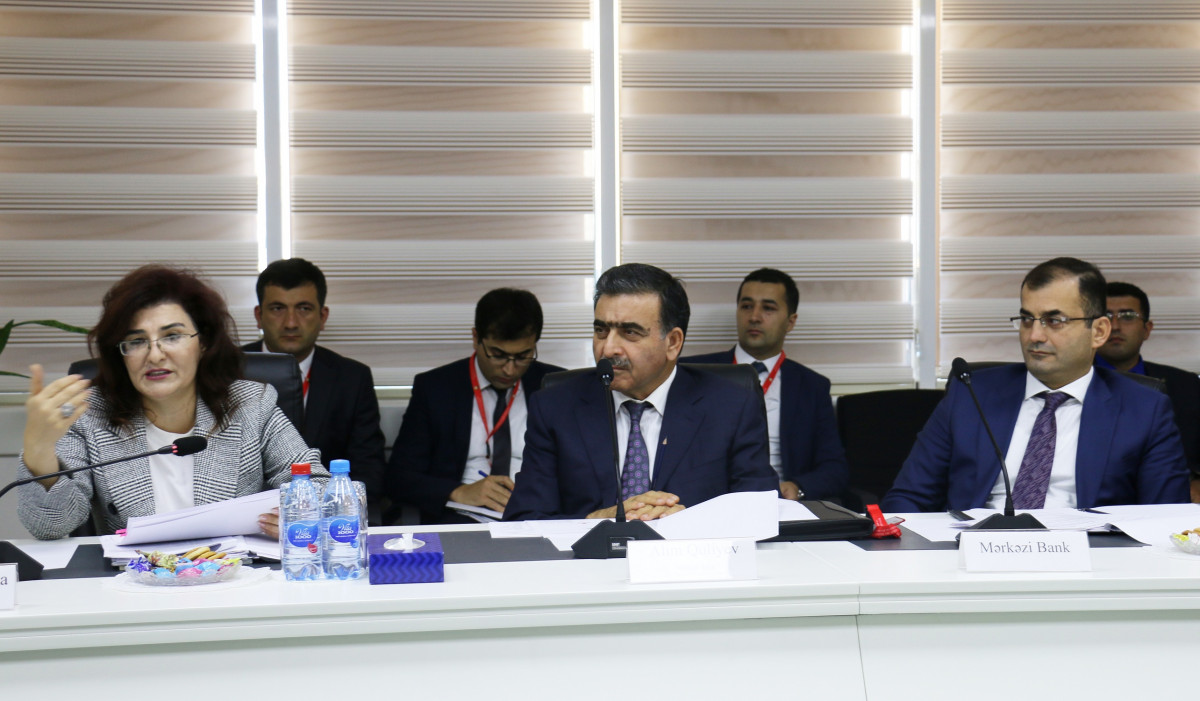 Strateji yol xəritələrinin icra vəziyyəti müzakirə olunub