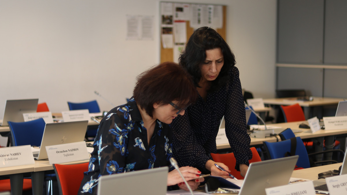 CAERC Manager Participates in Macroeconomic Management Seminar in Vienna