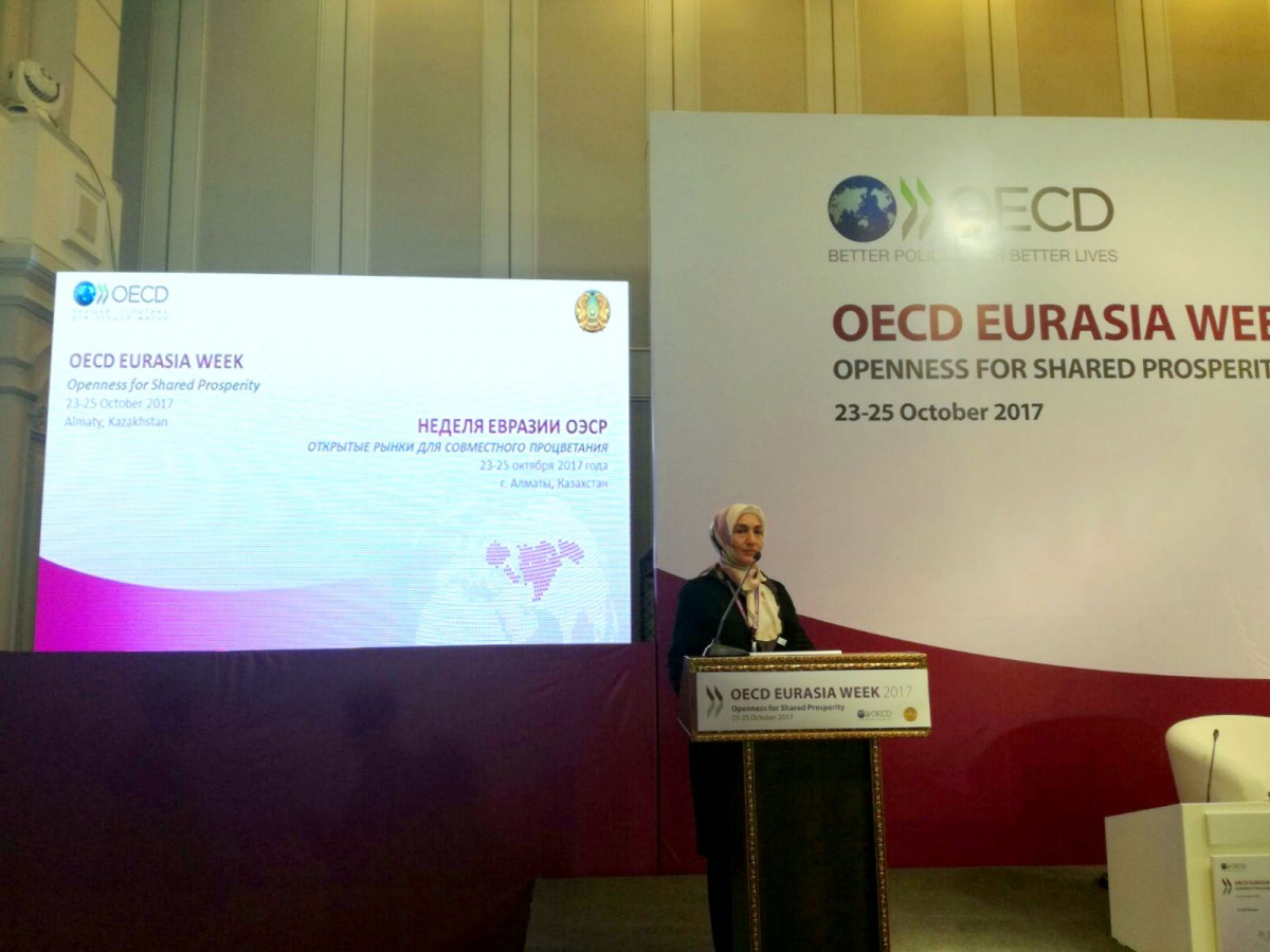 Economic Reforms in Azerbaijan Presented at OECD “Eurasia Week 2017”