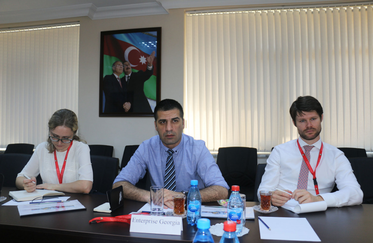 Representatives of “Enterprise Georgia” Visit CAERC