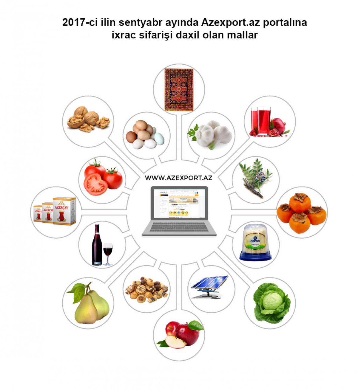 Export Review: Non-Oil Exports Reach USD 1.219 Billion