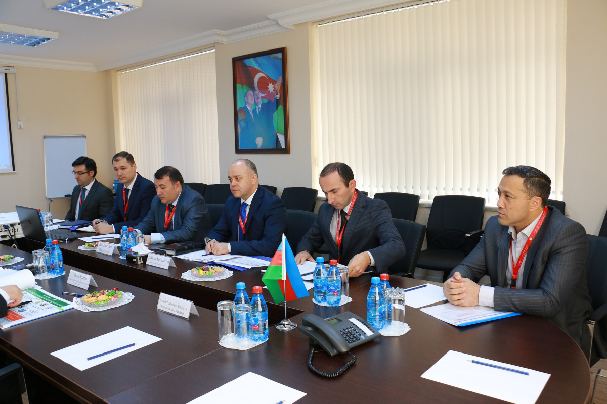 Economic reforms are being carried out in a systematic manner