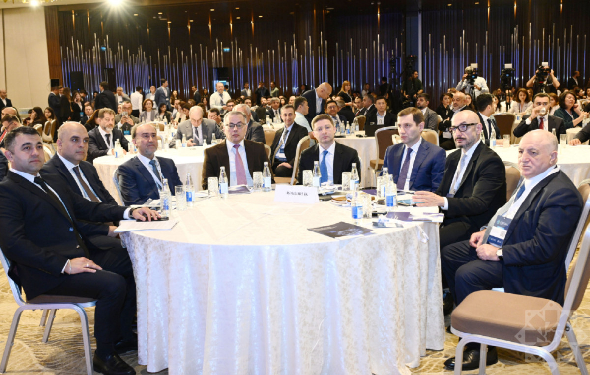 Vüsal Qasımlı Beynəlxalq Maliyyə və Bankçılıq Sammitində çıxış edib