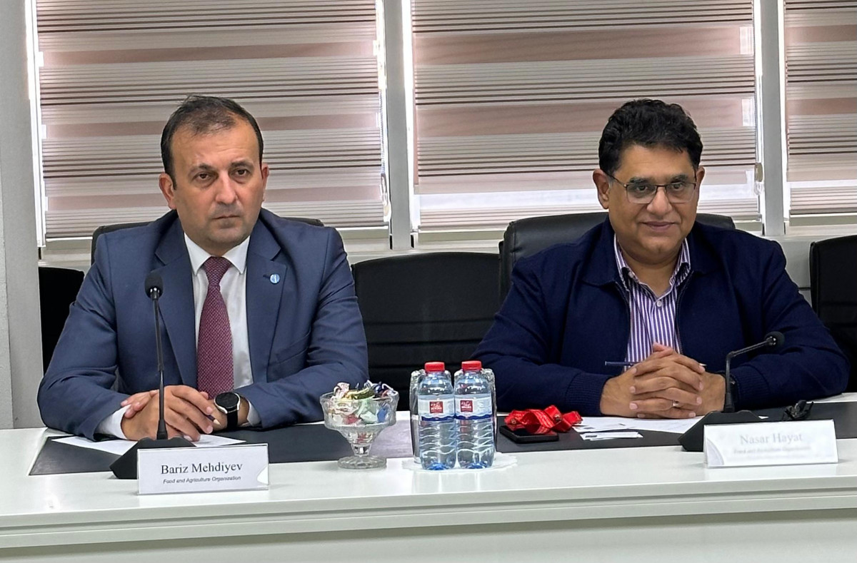 A discussion was held with the head of the Food and Agriculture Organization of the United Nations in Azerbaijan