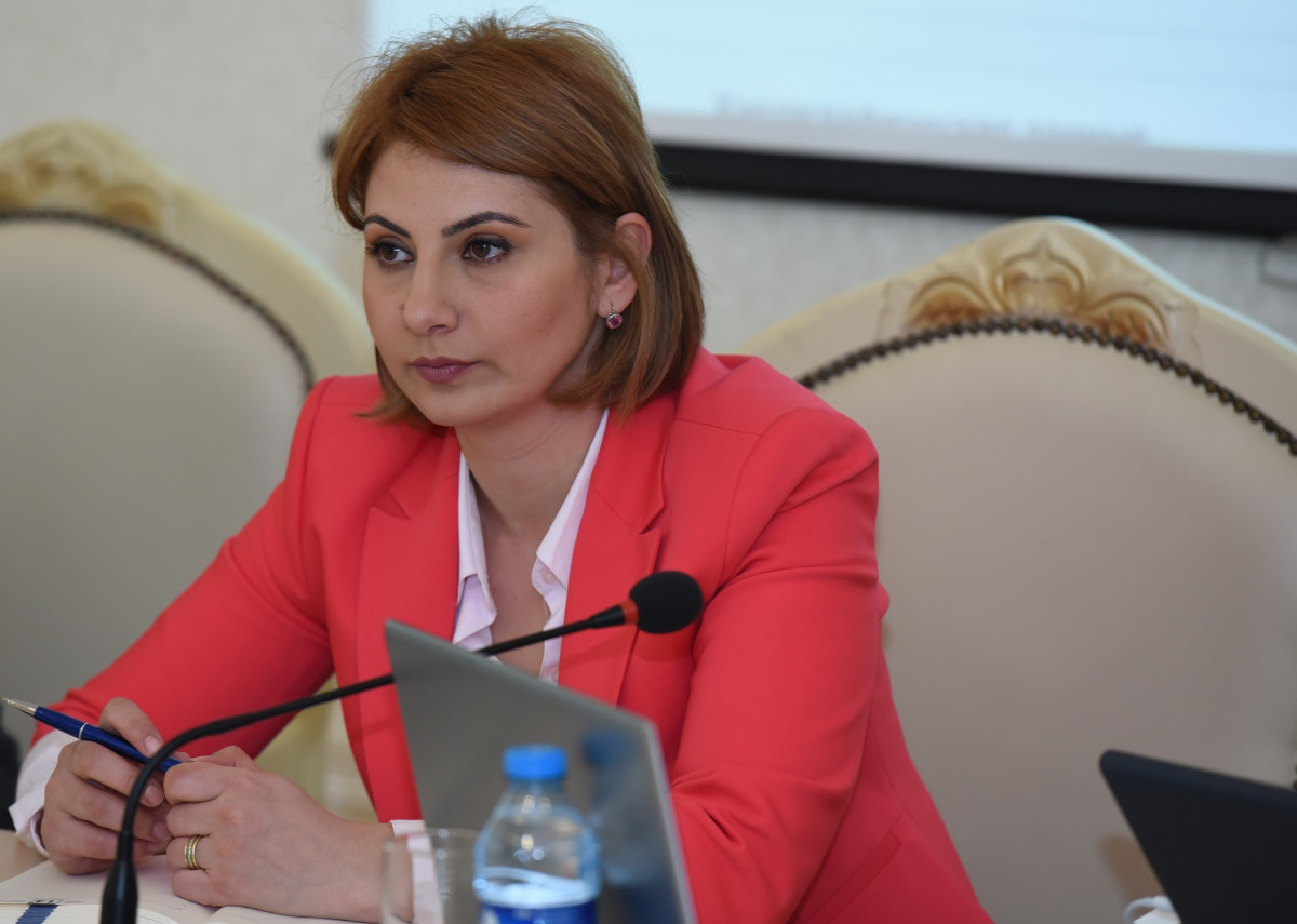 Data jurnalistikası ilə bağlı treninq keçirilib