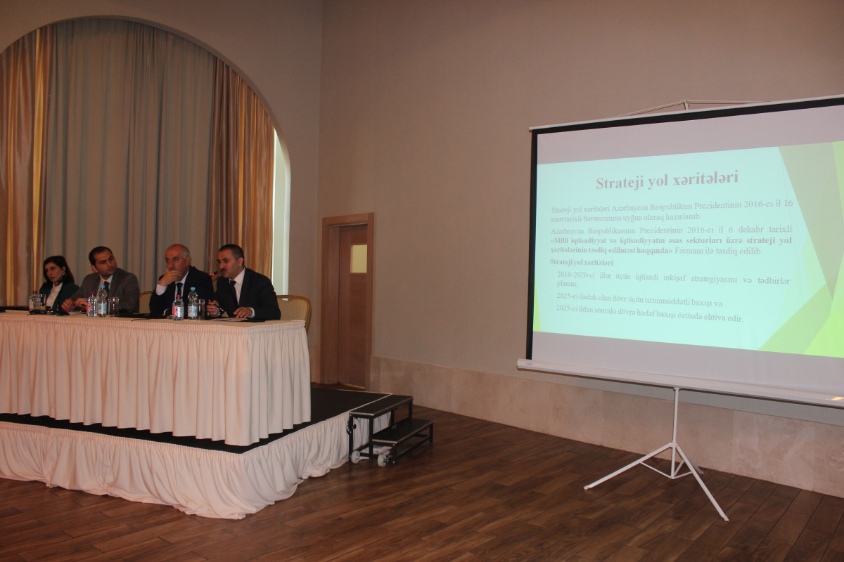 Strateji Yol Xəritələri yaşıl iqtisadiyyata keçidə töhfə verir