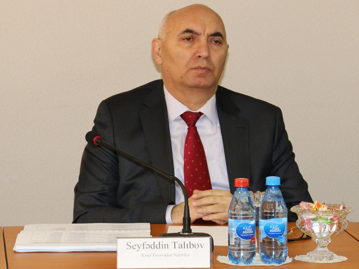 Discussions of Strategic Roadmaps Working Groups Held