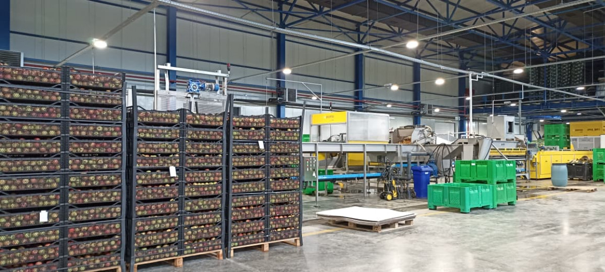 Azexport portal organized a visit to agrarian logistics complexes of the northern regions