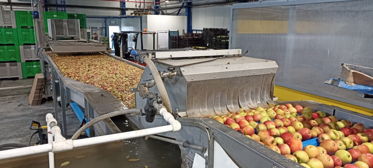 Azexport portal organized a visit to agrarian logistics complexes of the northern regions