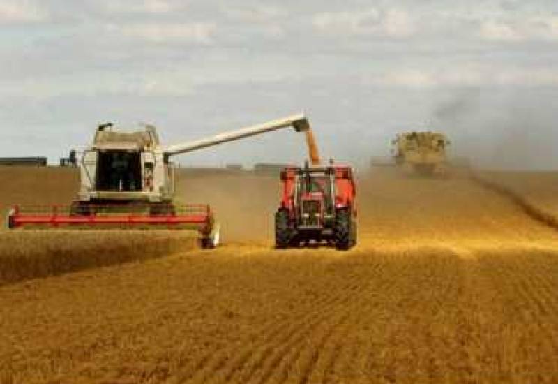 Prezident kənd təsərrüfatının inkişafı ilə bağlı Sərəncam imzalayıb