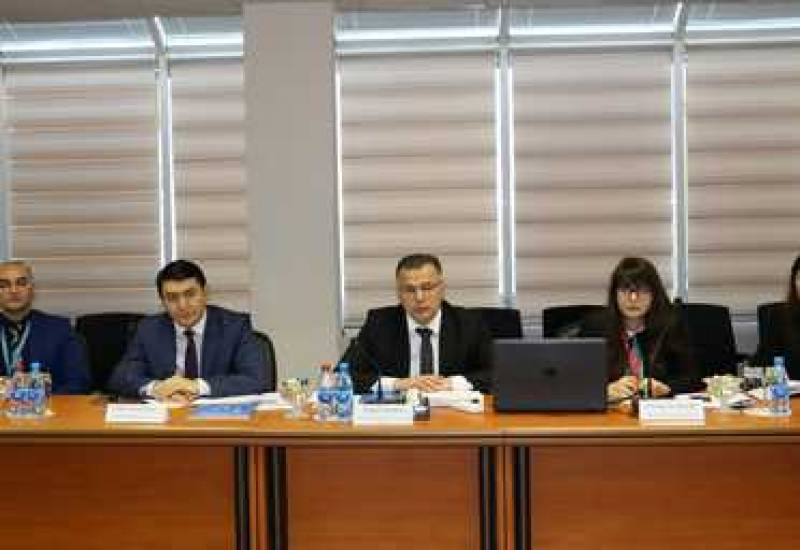 Discussions of Working Groups on Strategic Roadmaps Held at CAERC