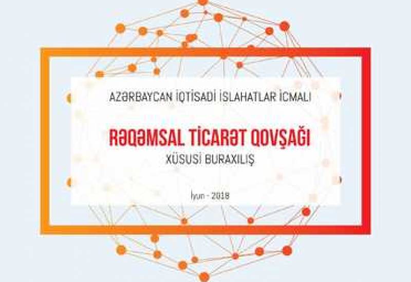 Special Issue of “Economic Reforms Review” Dedicated to the Digital Trade Hub