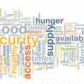 Decree of the President of the Republic of Azerbaijan on ensuring the activity of the Food Security Agency of the Republic of Azerbaijan