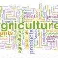 ADDITIONAL MEASURES ON DEVELOPMENT OF AGRICULTURE IN THE REPUBLIC OF AZERBAIJAN