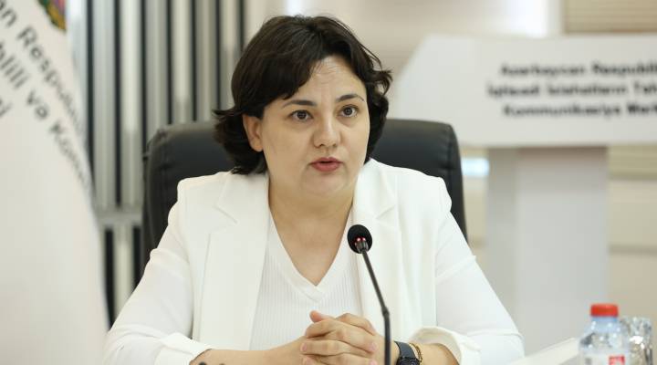 Ilhamə Qədimova/ Rəqəmsal arxitektura: Proqram idarəetməsi və nəticəəsaslı yanaşma / Dəyirmi masa