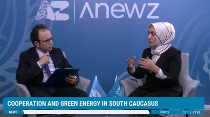 Green energy development among Turkic States / Vusala Jafarova