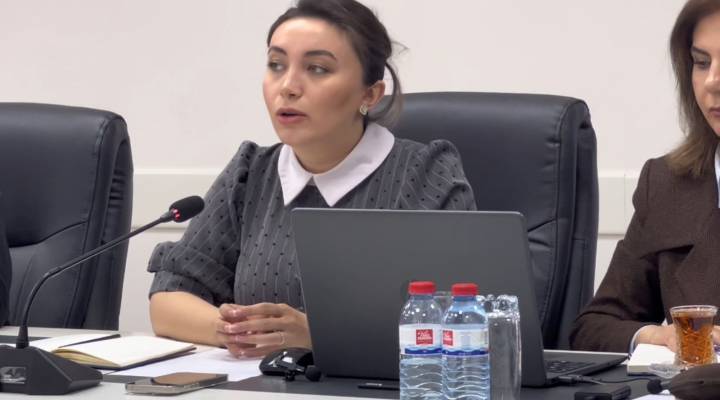 "Innovative Technologies in Public Administration: The Case of Azerbaijan" | Gultac Ahmadzada-Tapdigzada